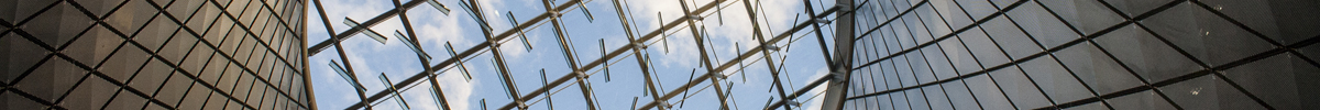CRM and Marketing Automation